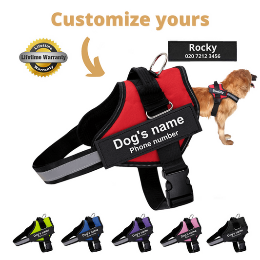 Canine Comfies™ Personalized No Pull Dog Harness